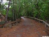 Piñones Boardwalk - LOÍZA